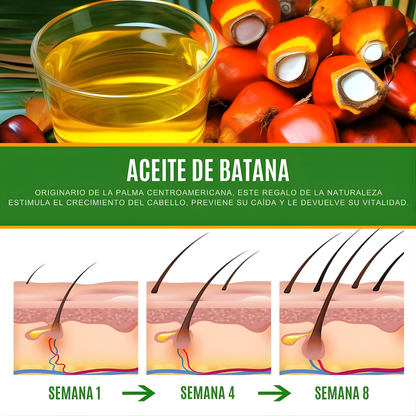 ACEITE DE BATANA PROMOCIÓN 2X1  – Reparación profunda, crecimiento fortalecido y brillo natural para todo tipo de cabello