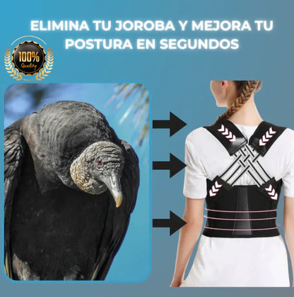 FlexBack Corrector de Postura Unisex Premium (Pedir una talla + de la que usas normalmente)