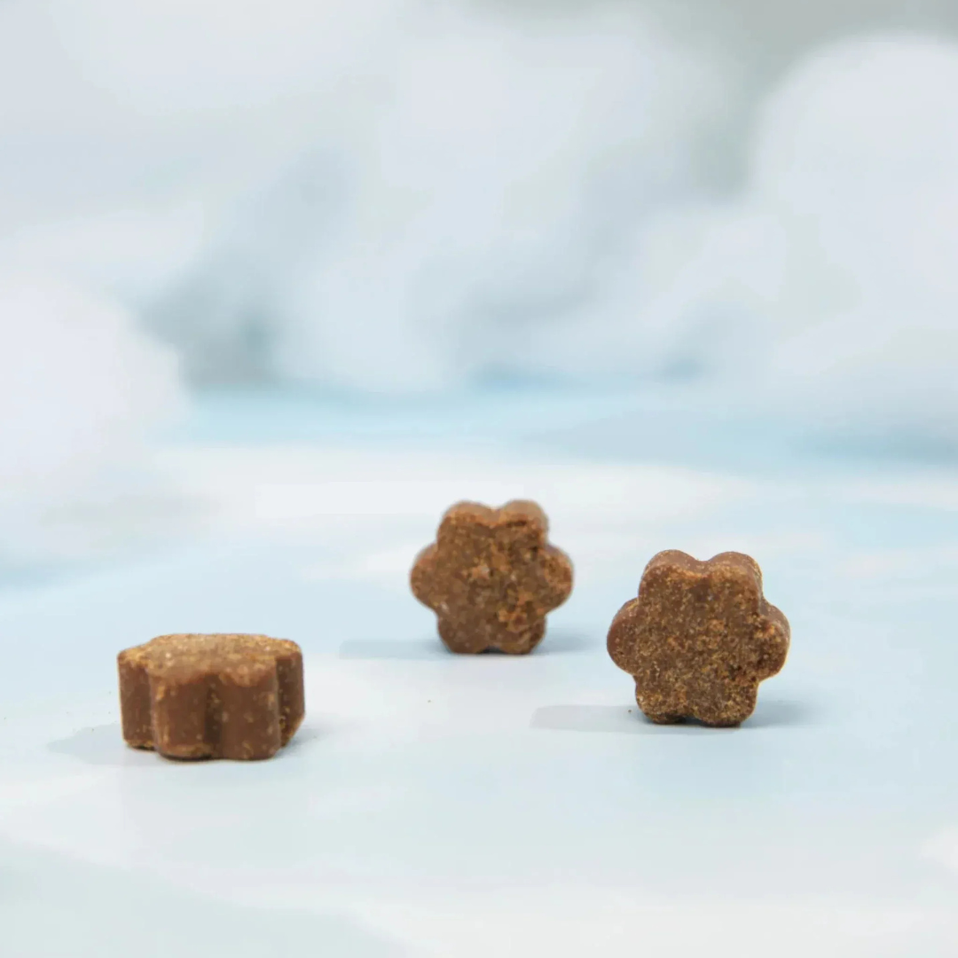 Dog Human 5 en 1 – Multivitamínico Diario para Perros